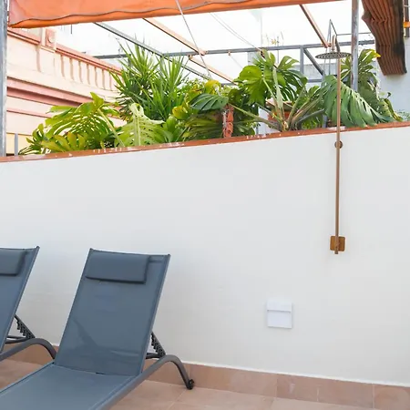 New And Design - Shared Rooftop Solarium - Alameda Seville